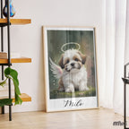 Pet Portrait