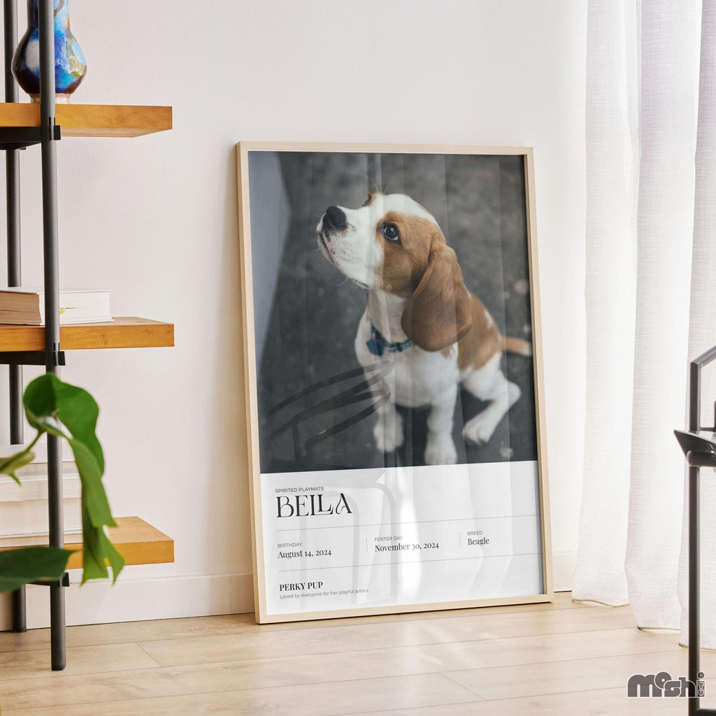 Best Affordable Elegant Photo Print - Minimalistic Pet Portrait