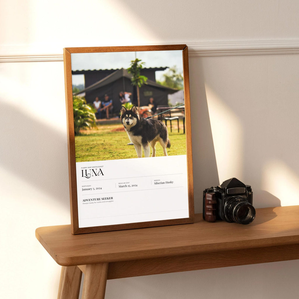 Best Affordable Elegant Photo Print - Minimalistic Pet Portrait