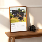 Best Affordable Elegant Photo Print - Minimalistic Pet Portrait