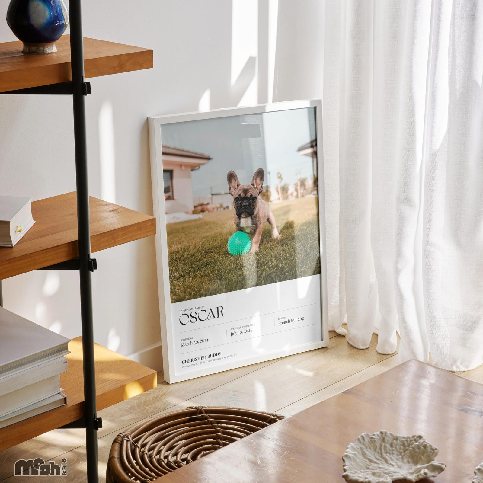 Best Affordable Elegant Photo Print - Minimalistic Pet Portrait