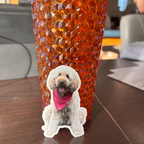 Custom Photo Sticker – Custom Face, Portrait & Photo Decal for Water Bottle, Laptop, Car | Personalized Die-Cut Waterproof